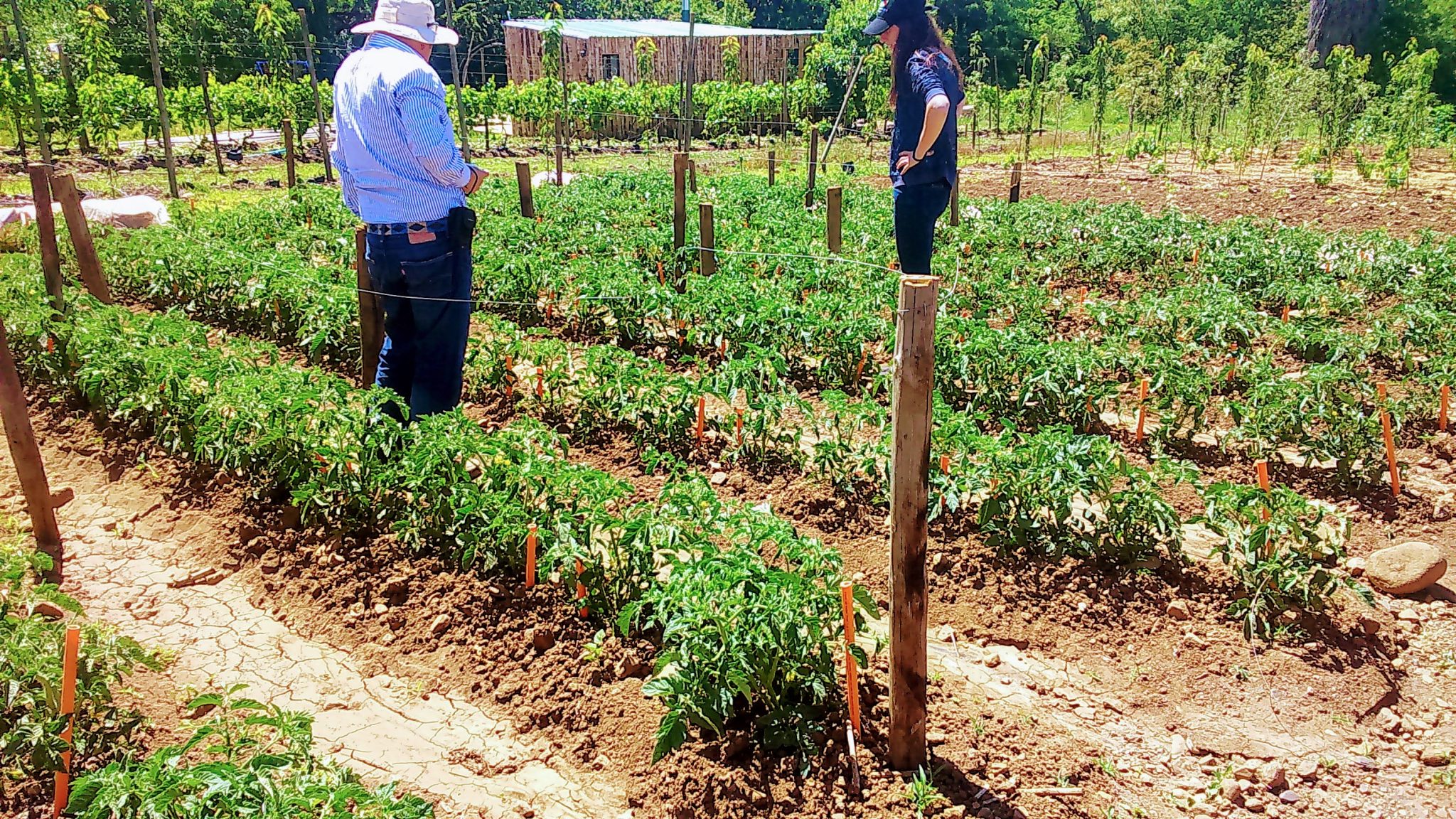 Evaluación de Agropesticidas